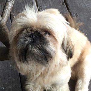 Meet your Posher, Johnna