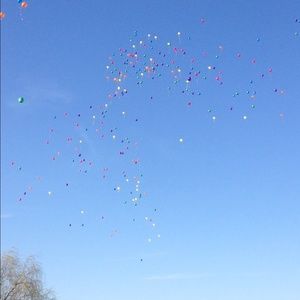 Meet your Posher, Carrie