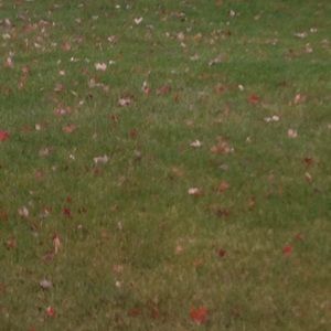 Meet your Posher, Karin