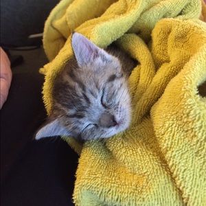 Meet your Posher, Heidi