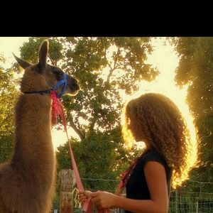 Meet your Posher, Camille