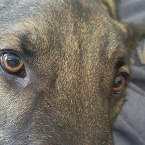 Meet your Posher, Regina