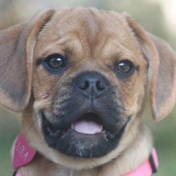 Meet your Posher, Patty