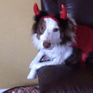 Meet your Posher, Kerri