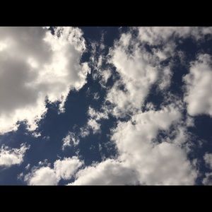 Meet your Posher, Anne