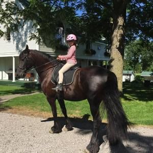 Meet your Posher, Marissa