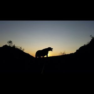 Meet your Posher, Courtney