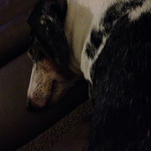 Meet your Posher, Cheryl