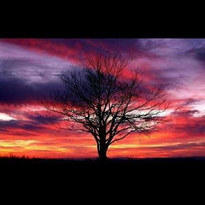 Meet your Posher, Brittney