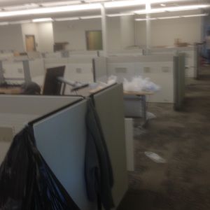 Meet your Posher, Carlos