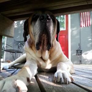 Meet your Posher, Sally