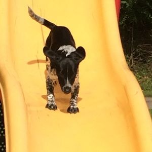 Meet your Posher, Angela