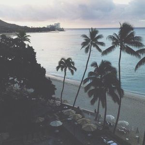 Meet your Posher, Ty