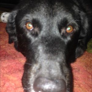 Meet your Posher, Jaclyn