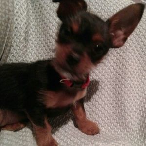 Meet your Posher, Sandra