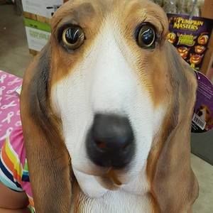 Meet your Posher, Robin