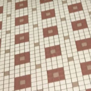 Meet your Posher, Bri