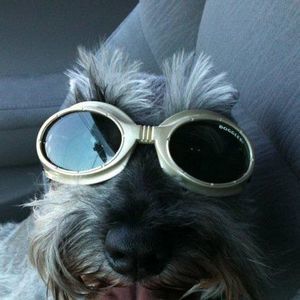 Meet your Posher, Candace