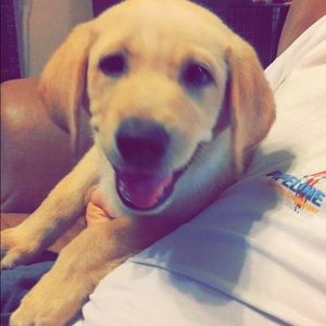 Meet your Posher, Zoey