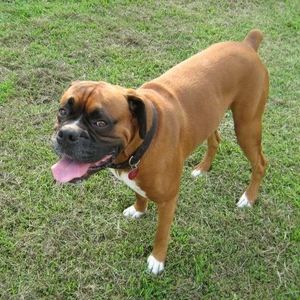 Meet your Posher, Candace