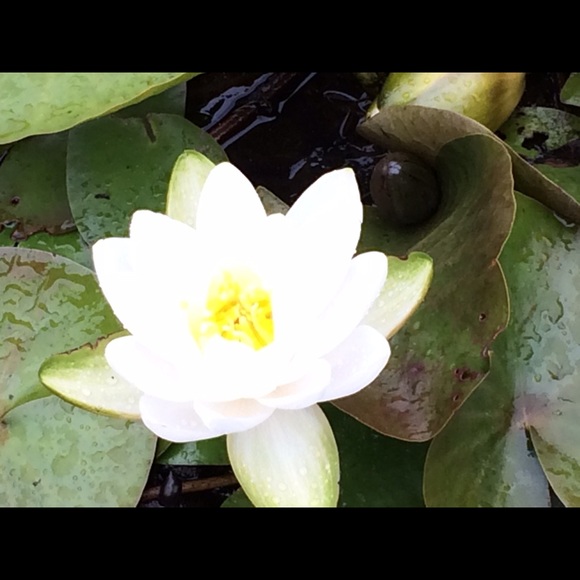 Meet your Posher, Olga