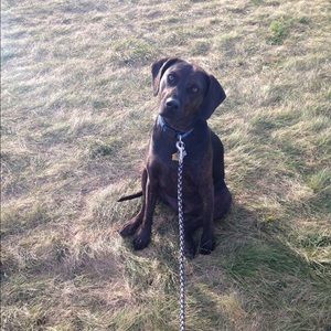 Meet your Posher, Samantha