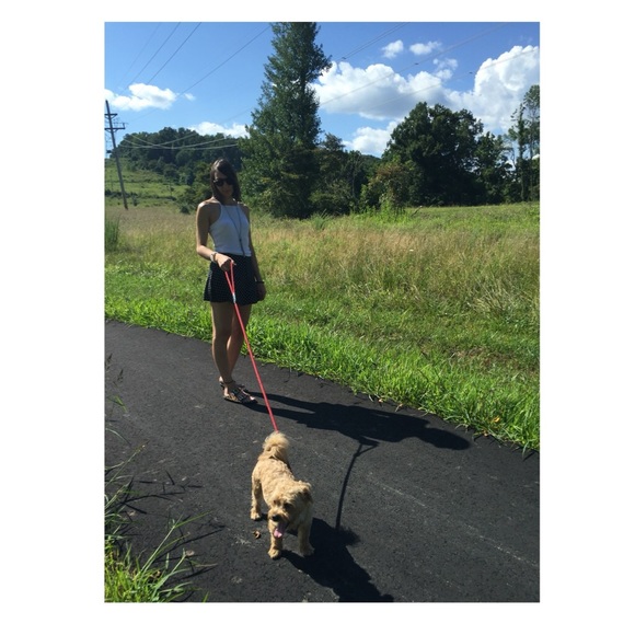 Meet your Posher, Gabriella - Picture 3 of 4