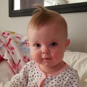 Meet your Posher, Rene