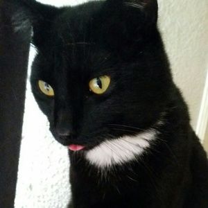 Meet your Posher, Meagan