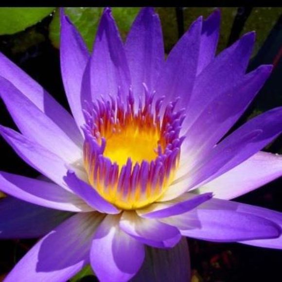 Meet your Posher, Logan