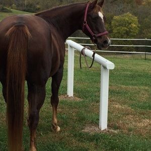 Meet your Posher, Sarah