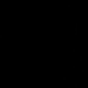 Meet your Posher, Sheena