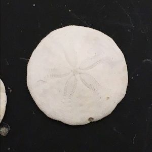 Meet your Posher, Lynn