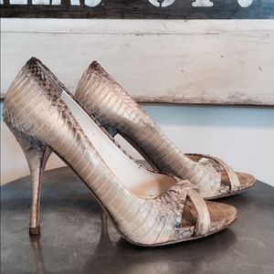 MIU MIU snakeskin pumps