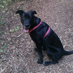 Meet your Posher, Krissy