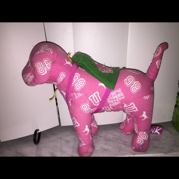 Victoria secret dog