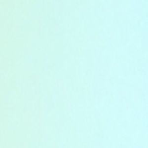 Meet your Posher, Audrey