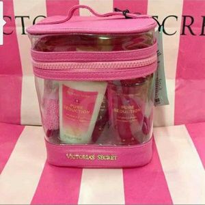 💕CYBER MONDAY 💖VICTORIA SECRET 🎀MINI BUNDLE 💖