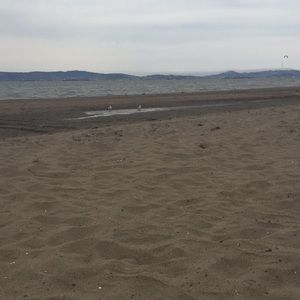 Meet your Posher, Kendall