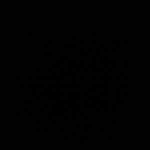 Meet your Posher, Colette