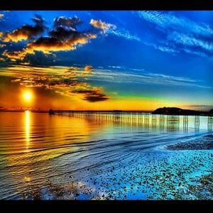 Meet your Posher, Sheena