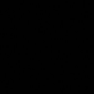 Meet your Posher, Hanna