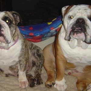 Meet your Posher, Dorothy