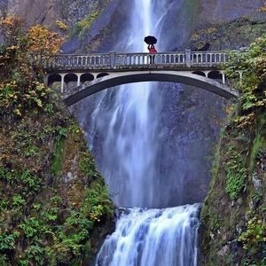 Meet your Posher, Liz