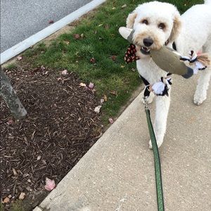 Meet your Posher, Lynn