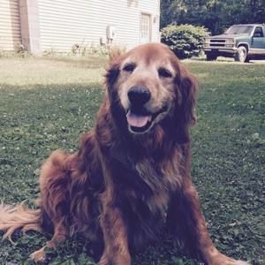 Meet your Posher, Alicia