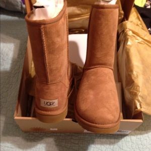 Short chestnut color uggs