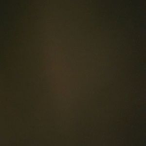 Meet your Posher, Sherene