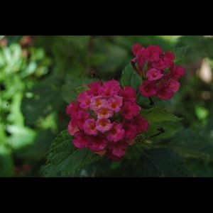 Meet your Posher, Kristin