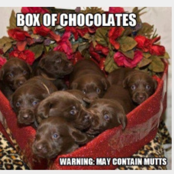 Boutique Tops - 🎄🎁RESTOCKING for CHRISTMAS!